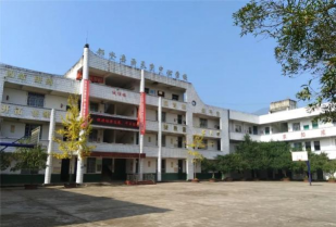 邻水县风垭乡中心小学