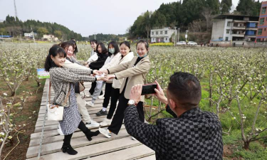 乐至县劳动镇民胜小学