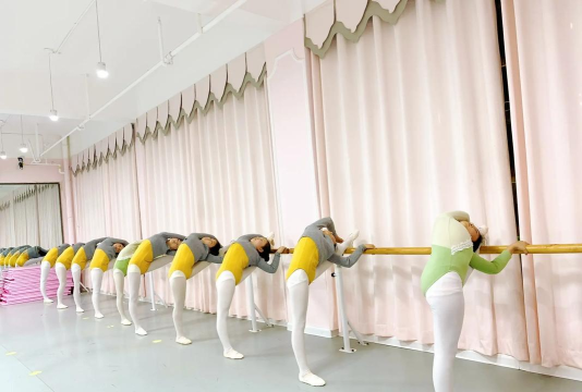 佛山市禅城区尚艺欣舞艺术培训有限公司