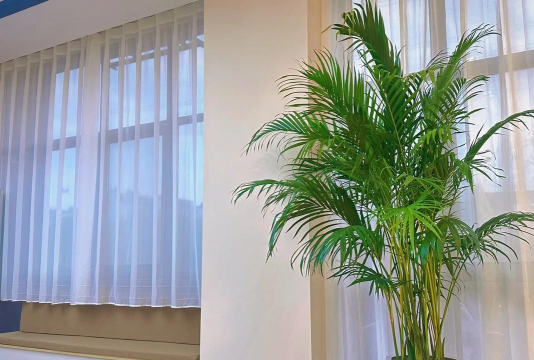 罗平画笔艺术培训学校有限公司