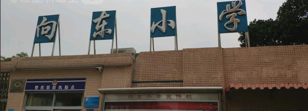 东莞市大岭山向东小学
