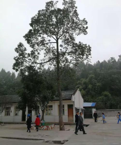 三台县凯河镇六村小学