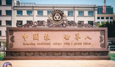 青岛格兰德小学