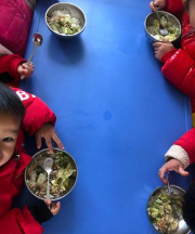 西畴县柏林乡幼儿园