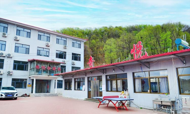 大康镇松花岭村小