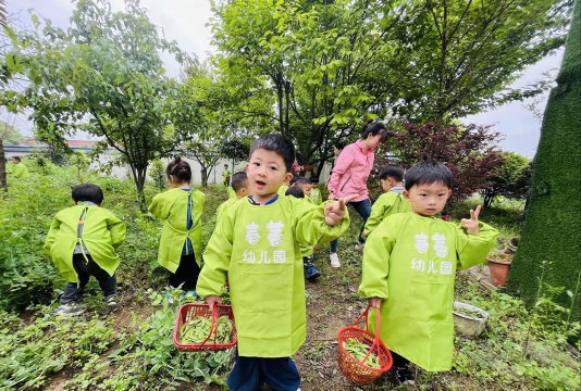 阳江市海陵区闸坡镇新春蕾幼儿园