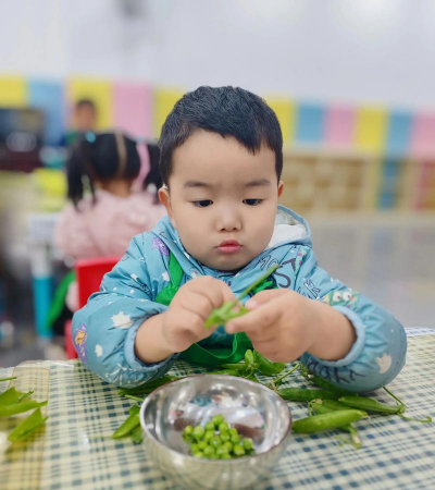 晋江市英林镇陈山村小学幼儿园
