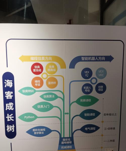 成都市郫都区芯极光酷课编程培训学校有限公司
