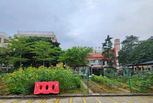 佛山市狮山镇松岗中心小学