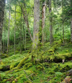 德钦县云岭乡中心完小