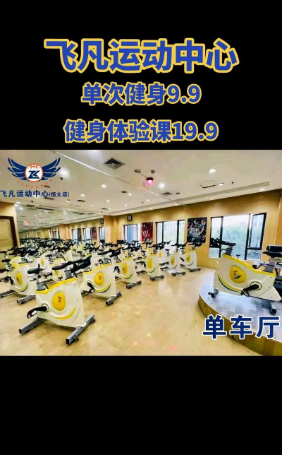 龙南市飞凡体育发展有限公司