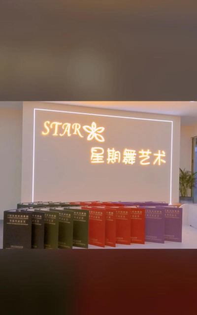 河源市高新区星期舞艺术教育培训有限公司