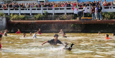 百色市田阳区才学文化艺术培训有限公司