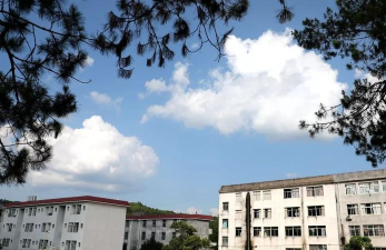 武平县桃溪中学