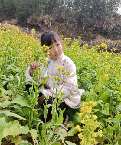 新龙县乐安中心小学