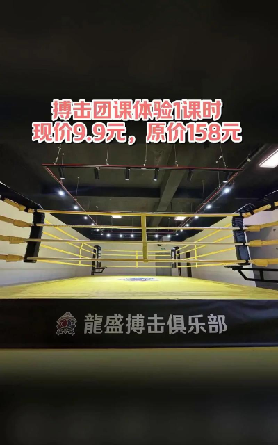 内蒙古巅峰龙博武馆有限公司