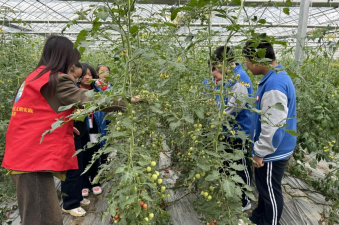 合兴镇星桥完小