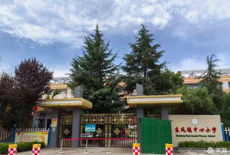 陇县东风镇南村中心小学