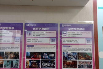 佛山市顺德区乐从镇楚雁科技培训有限公司