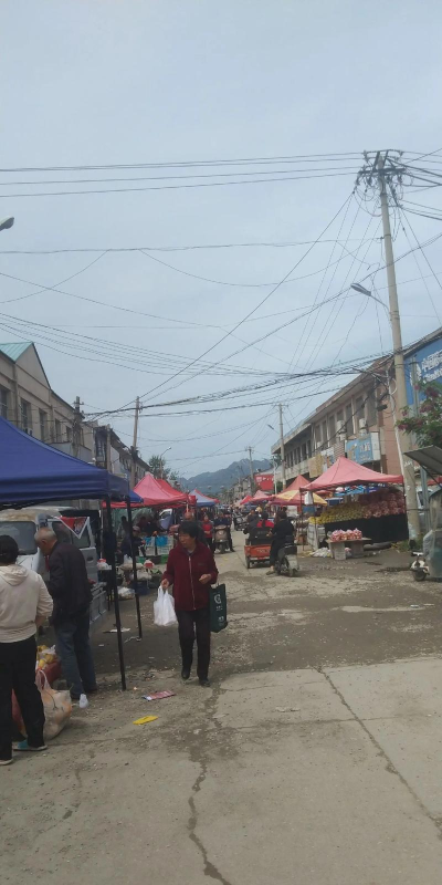 北京市昌平区陈庄中学