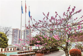 成都市第三十三中学