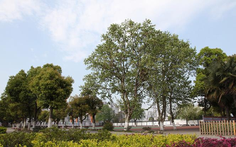 无锡市育红小学