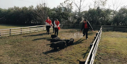 桂林市灵川梧桐墅幼儿园