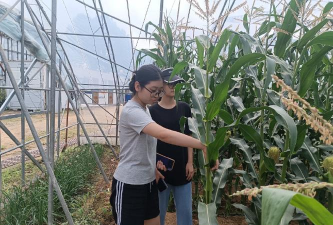 即墨市移风店镇大坝村幼儿村