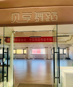 聊城江北水城旅游度假区瑞芭舞蹈培训学校有限公司