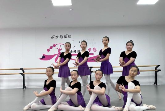 武宁县小太阳舞蹈培训中心有限公司