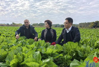 封开县长安镇民成幼儿园