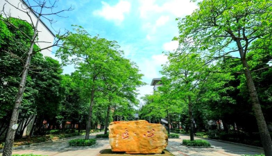 佛山南海区信息技术学校