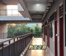 东莞市岭南学校