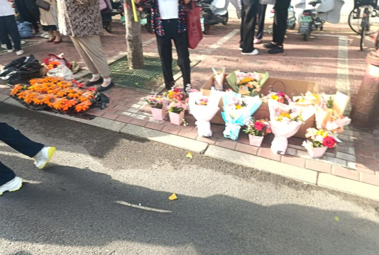 武汉市江夏区段岭庙中学