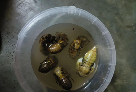 洛阳市西工区洛北乡西下池幼儿园