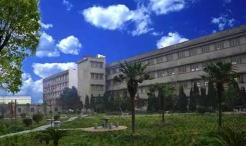 枝江市百里洲镇百里洲中学