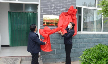 灵寿县灵寿镇城内小学