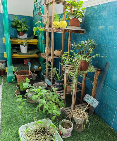 鄞县洞桥镇宁锋幼儿园