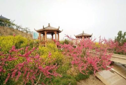 颍东区枣庄镇幼儿园