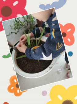 宁海县胡陈乡中心幼儿园