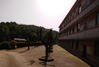 高楼小学