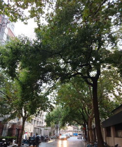 复旦大学附设幼儿园