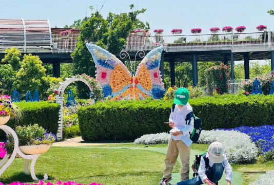 大连市沙河口区新友幼儿园