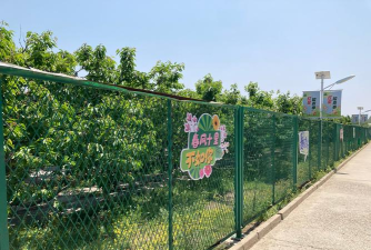 北京市昌平区北七家镇卡酷鲁疃社区办园点