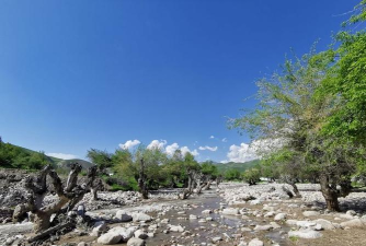 萨尔布拉克镇哈中