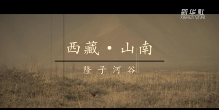 隆子镇新巴完小