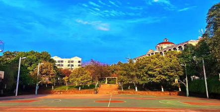 重庆微电子工业学校