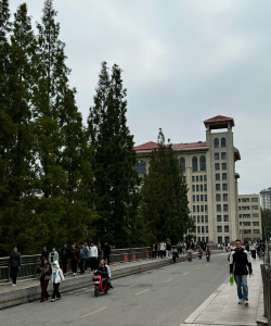 鲁东大学