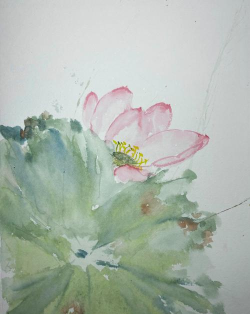 南投县国姓乡北港国民小学