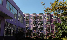 上海斌心学校(九年一贯制)